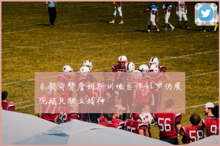 东契奇赞詹姆斯训练自律41岁仍展现超凡职业精神